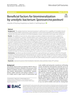 Beneficial Factors for Biomineralization by Ureolytic Bacterium Sporosarcina Pasteurii