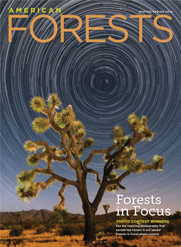 Forests in Focus