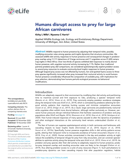 Humans Disrupt Access to Prey for Large African Carnivores Kirby L Mills*, Nyeema C Harris*
