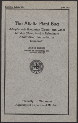 The Alfalfa Plant Bug Adelphocoris Lineolatus (Goeze) and Other Miridae (Hemiptera) in Relation to Alfalfa-Seed Production in Minnesota