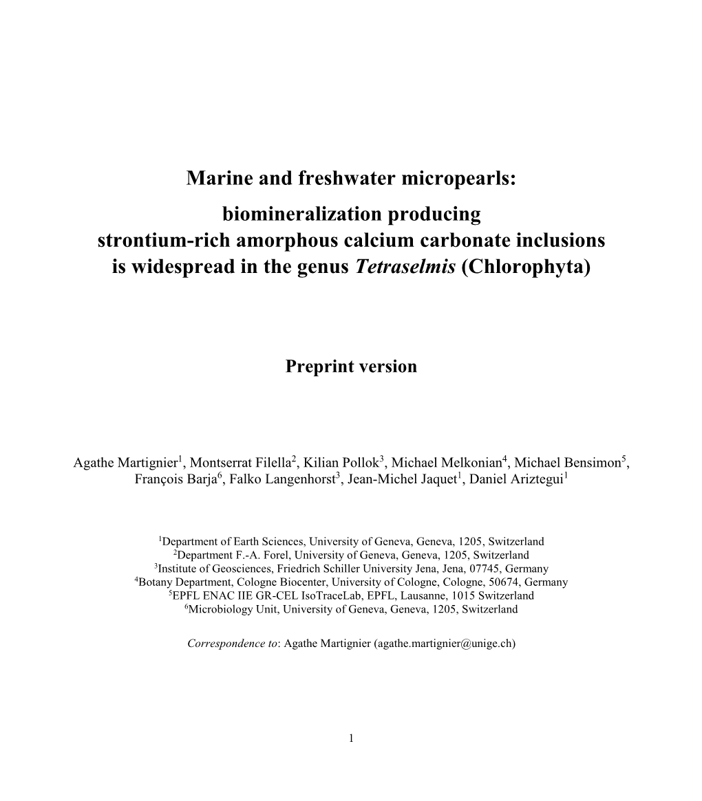 Download Preprint