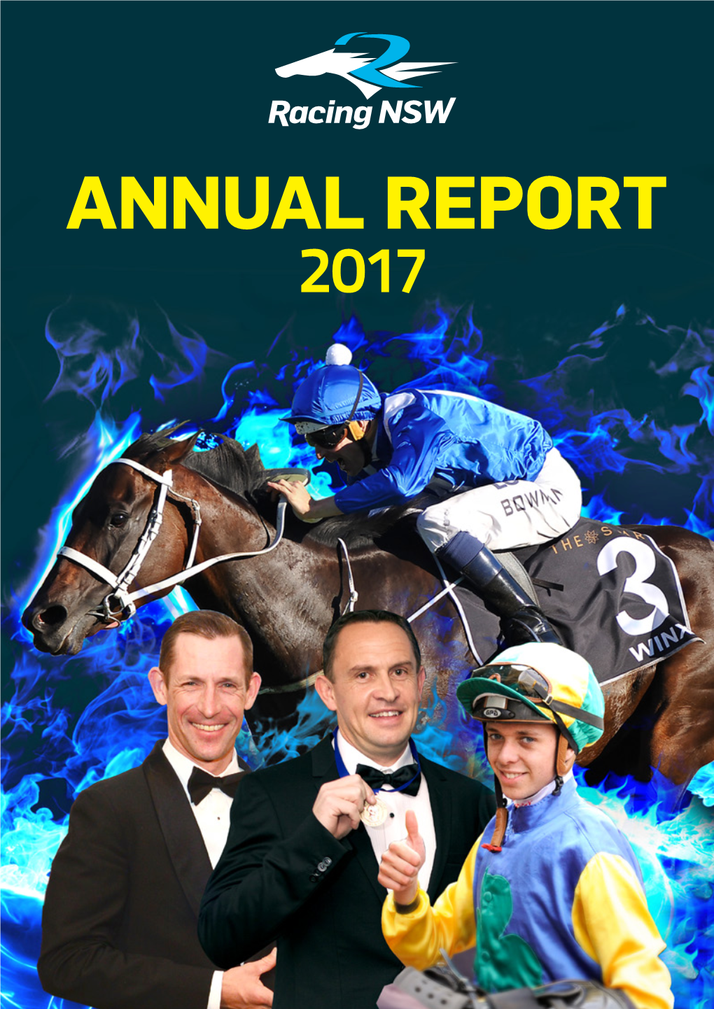 2017 Annual Report