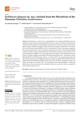 Pedobacter Ghigonii Sp. Nov., Isolated from the Microbiota of the Planarian Schmidtea Mediterranea