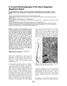 A Revised Lithostratigraphy of the Sierra Baguales, Magallanes Basin
