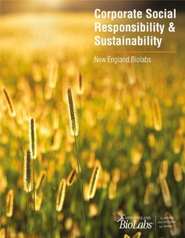 Social and Environmental Responsibility at New England