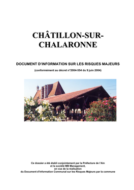 Chatillon-Chalaronne-DIRM
