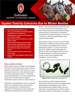Equine Toxicity Concerns Due to Blister Beetles Beetle2,4