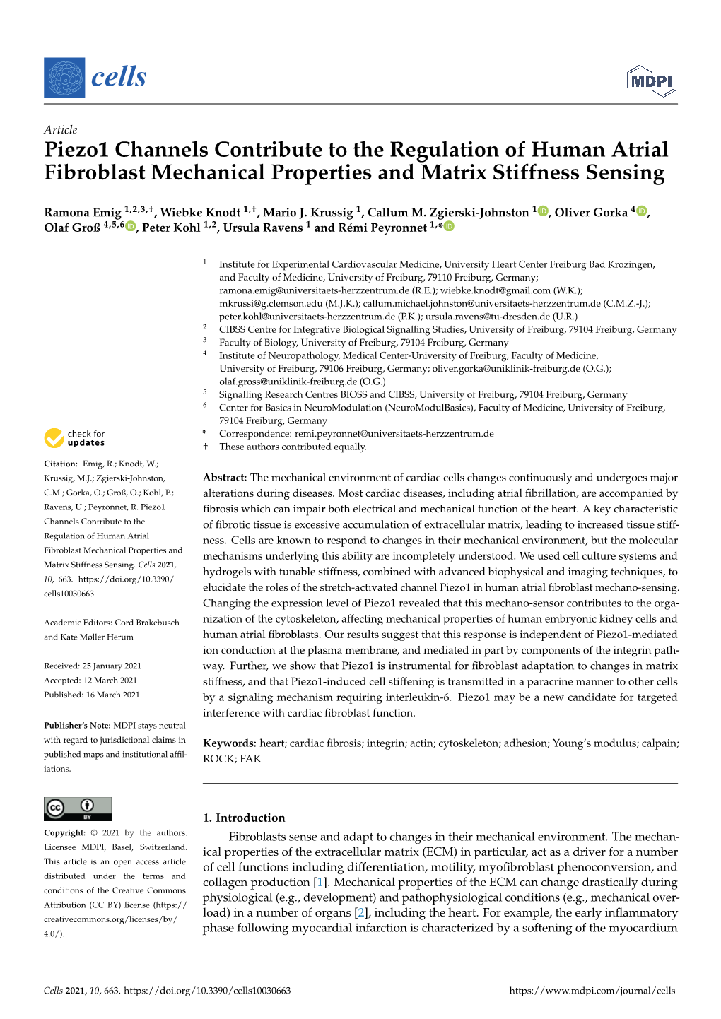 Piezo1 Channels Contribute to the Regulation of Human Atrial Fibroblast Mechanical Properties and Matrix Stiffness Sensing