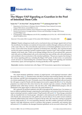 The Hippo–YAP Signaling As Guardian in the Pool of Intestinal Stem Cells