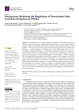 Mechanisms Mediating the Regulation of Peroxisomal Fatty Acid Beta-Oxidation by Pparα