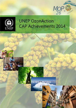 UNEP Ozonaction CAP Achievements 2014 CONTENTS