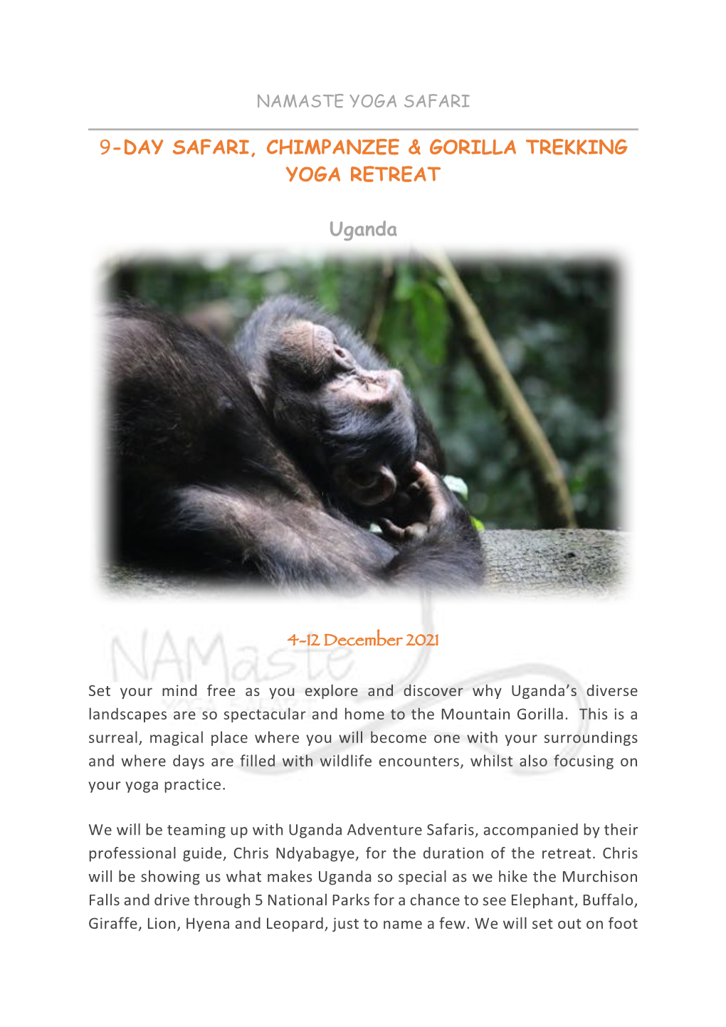 9-Day Safari, Chimpanzee & Gorilla Trekking Yoga