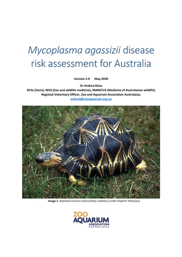 Mycoplasma Agassizii Disease Risk Assessment for Australia