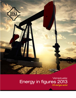 Venezuela: Energy in Figures 2013