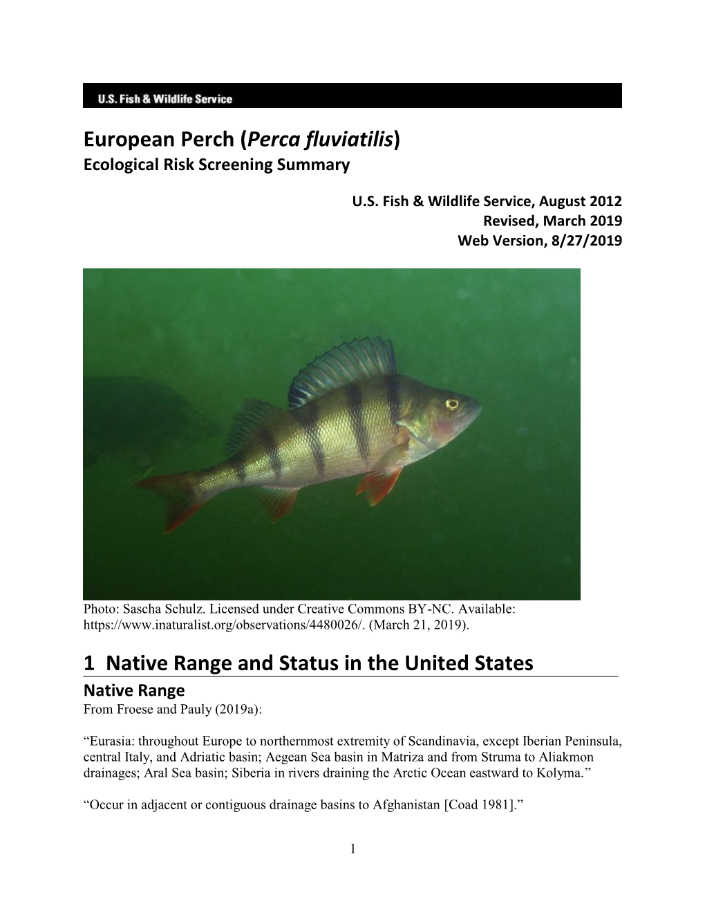 Perca Fluviatilis) Ecological Risk Screening Summary