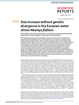 Size Increase Without Genetic Divergence in the Eurasian Water