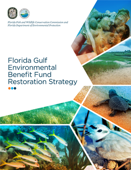 Florida Gulf Environmental Benefit Fund Restoration Strategy Funded by the National Fish and Wildlife Foundation – Gulf Environmental Benefit Fund
