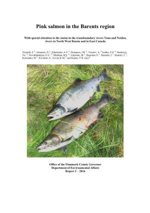 Pink Salmon in the Barents Region