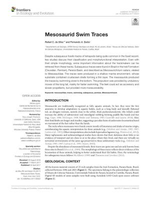 Mesosaurid Swim Traces