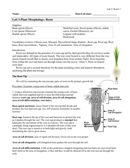 Lab 3:Plant Morphology: Roots