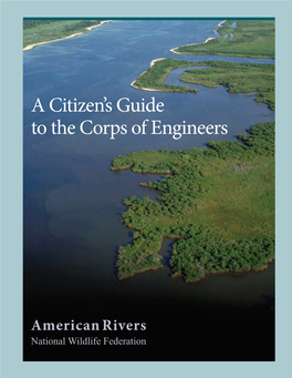 A Citizen's Guide to the Corps of Engineers