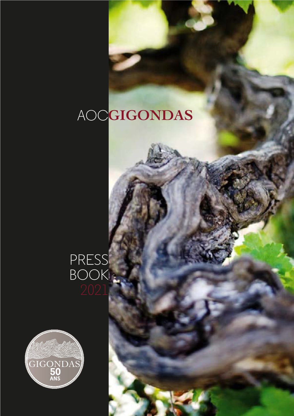 Aocgigondas Press Book 2021