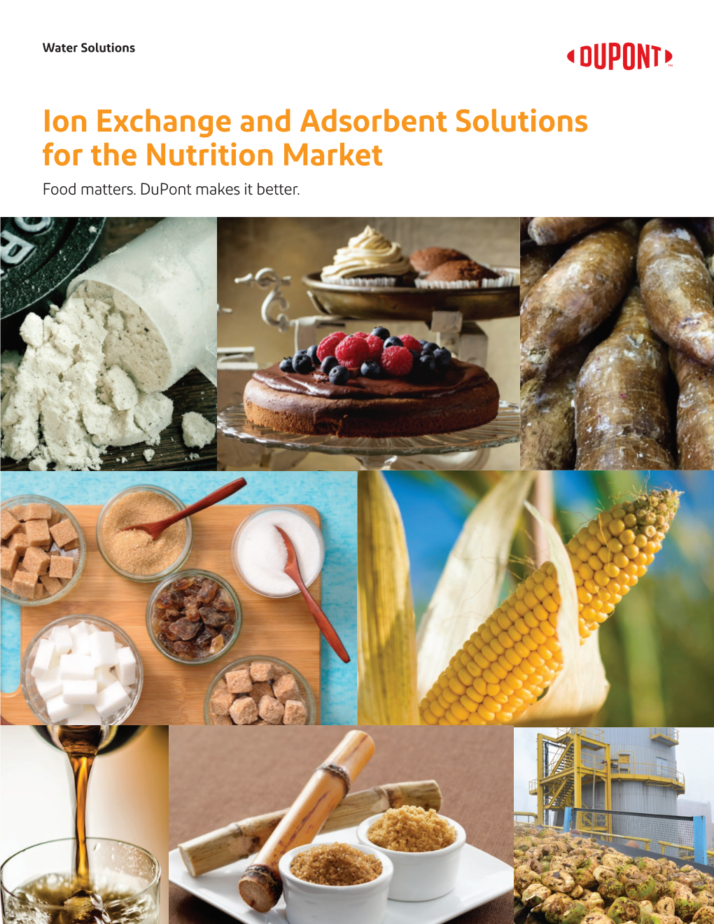 Ion Exchange and Adsorbent Solutions for the Nutrition Market Food Matters