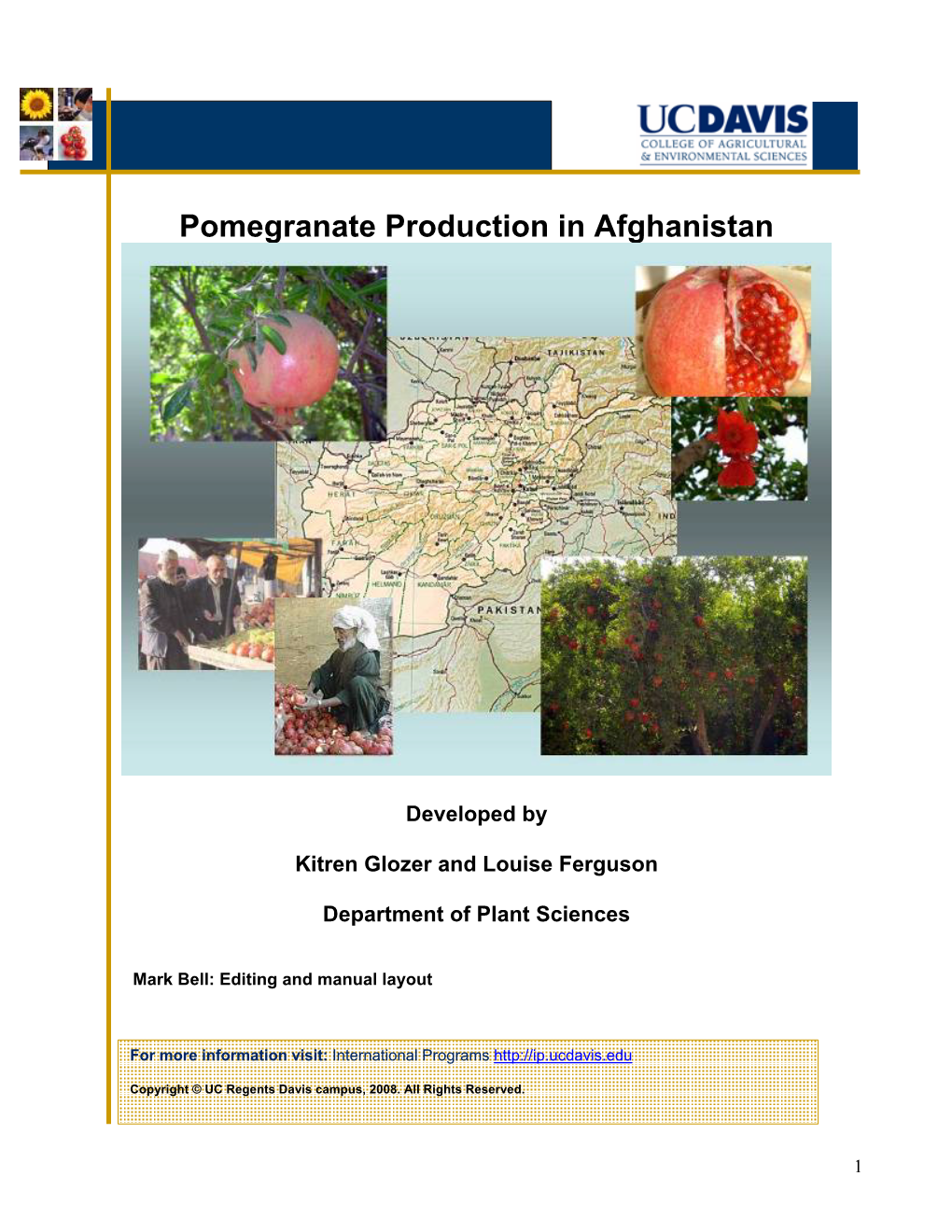 Pomegranate Production in Afghanistan