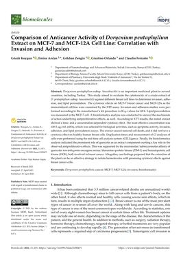 Comparison of Anticancer Activity of Dorycnium Pentaphyllum Extract on MCF-7 and MCF-12A Cell Line: Correlation with Invasion and Adhesion