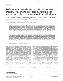 Differing Time Dependencies of Object Recognition Memory Impairments Produced by Nicotinic and Muscarinic Cholinergic Antagonism in Perirhinal Cortex