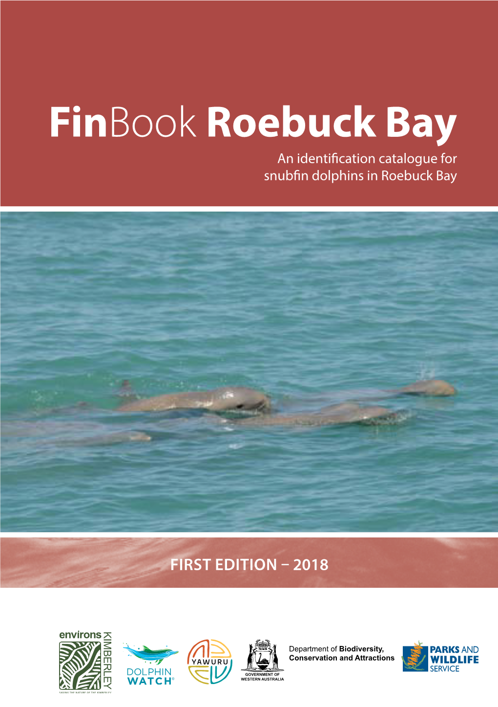 Finbook (Roebuck Bay, Broome)