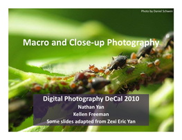 Macro and Close-Up Photography