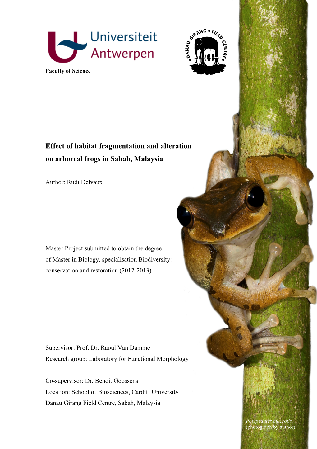 Effect of Habitat Fragmentation and Alteration on Arboreal Frogs in Sabah, Malaysia