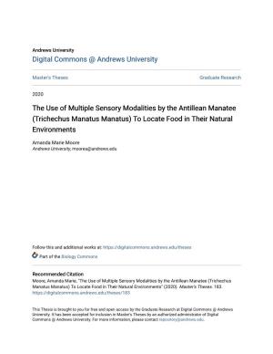 The Use of Multiple Sensory Modalities by the Antillean Manatee (Trichechus Manatus Manatus) to Locate Food in Their Natural Environments