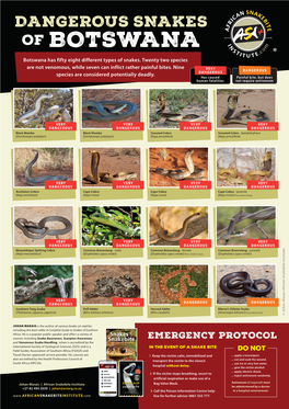 Botswana Has Fifty Eight Different Types of Snakes
