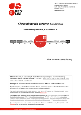 Chaenothecopsis Oregana, Resin Whiskers
