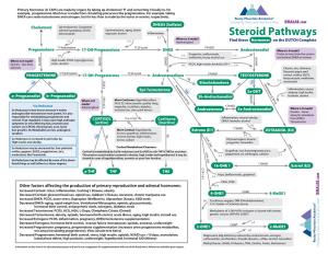 Steroid Pathways