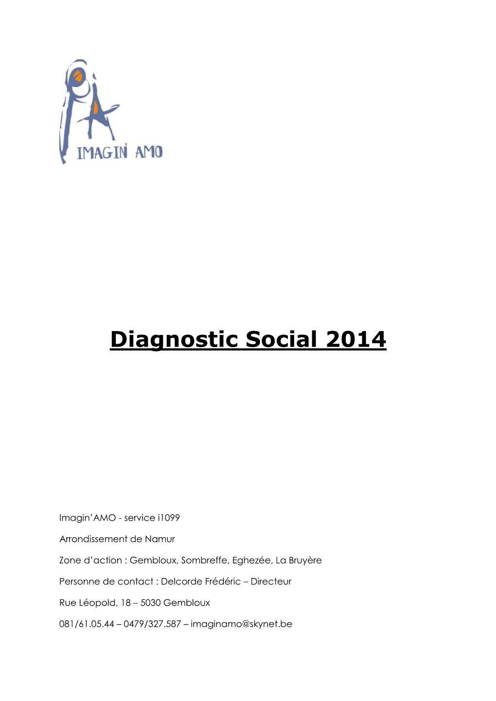 Diagnostic Social 2013