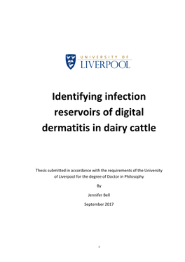 Identifying Infection Reservoirs of Digital Dermatitis in Dairy Cattle