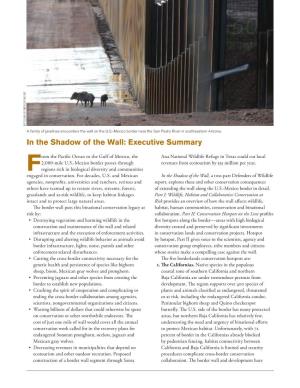 In the Shadow of the Wall: Executive Summary