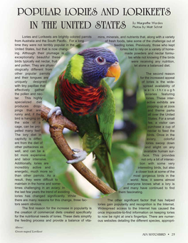 Popular Lories and Lorikeets in the United States