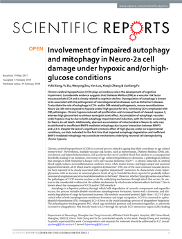 Involvement of Impaired Autophagy and Mitophagy in Neuro-2A Cell