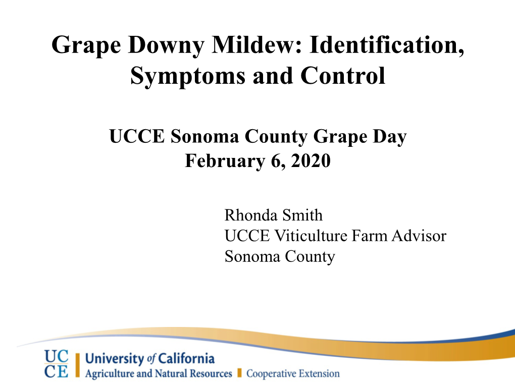 Grape Downy Mildew: Identification, Symptoms and Control