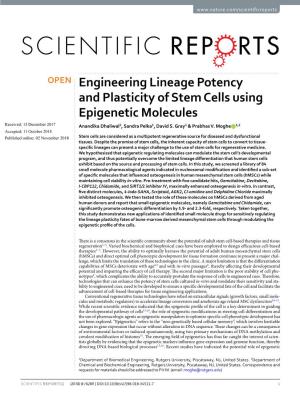 Engineering Lineage Potency and Plasticity of Stem Cells Using Epigenetic Molecules Received: 13 December 2017 Anandika Dhaliwal1, Sandra Pelka1, David S