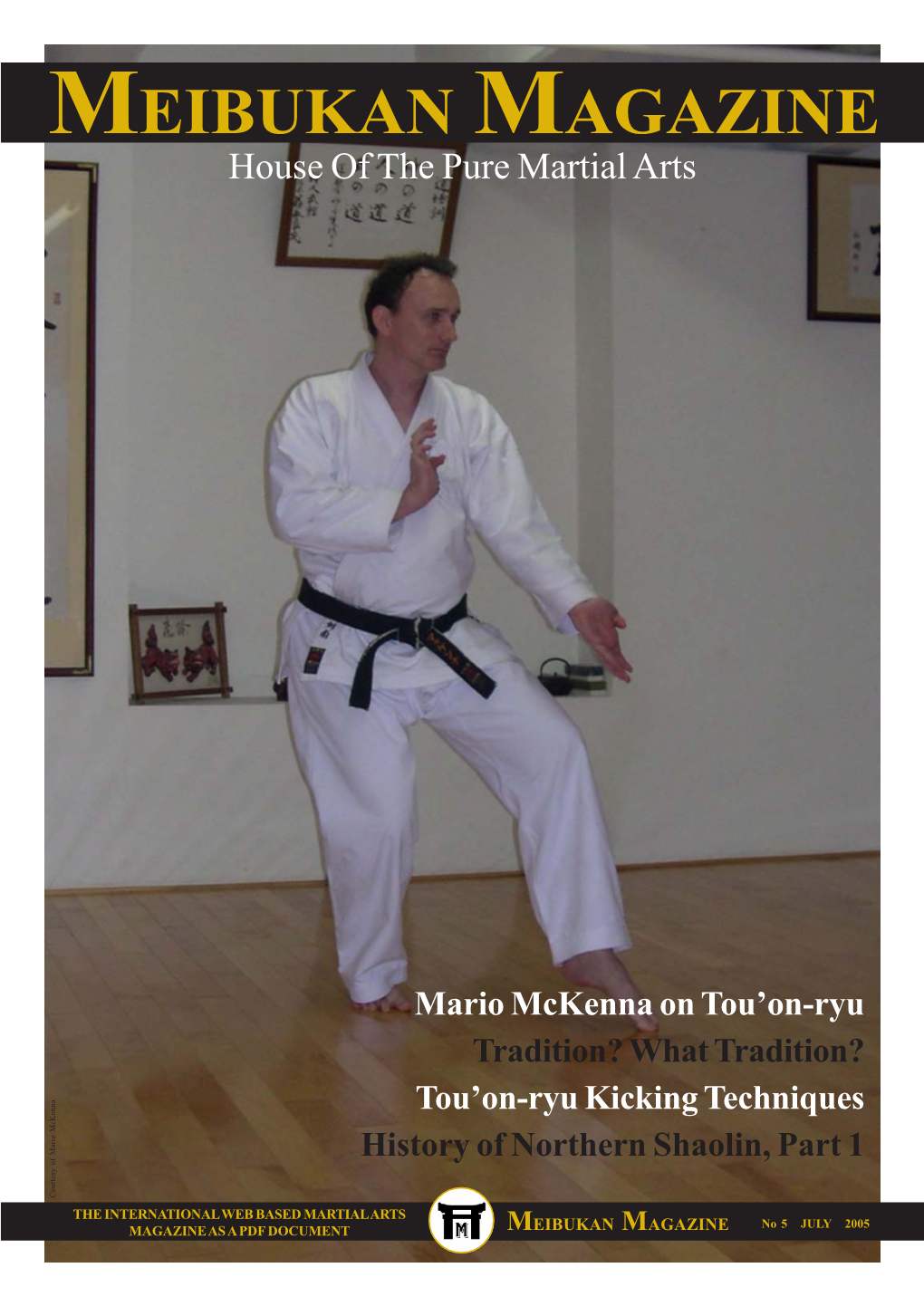 Mario Mckenna on Tou'on-Ryu
