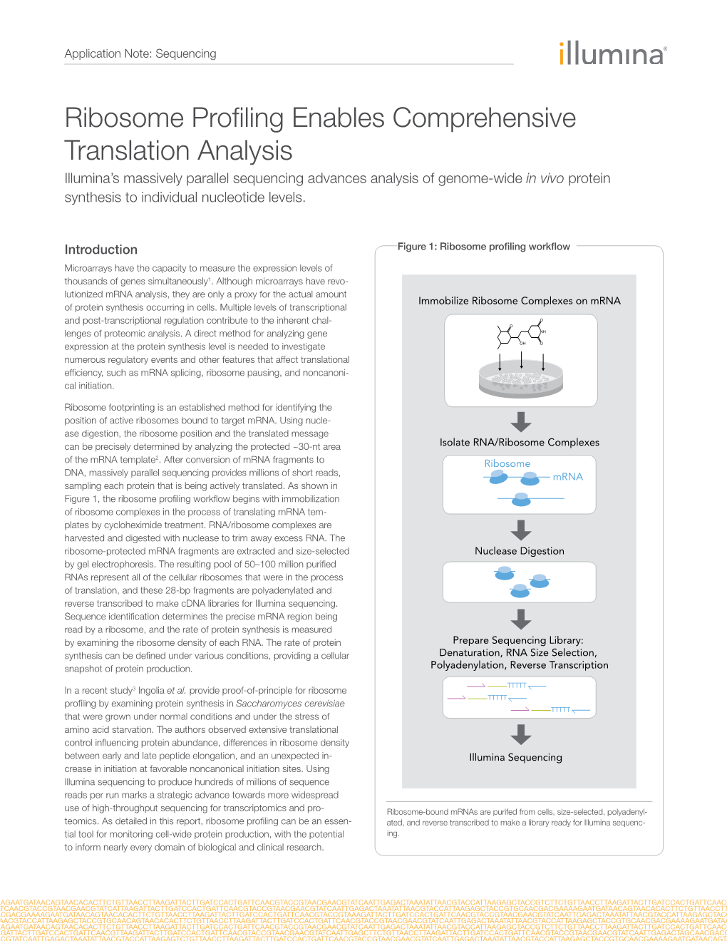 Ribosome Profiling Enables Comprehensive Translation Analysis