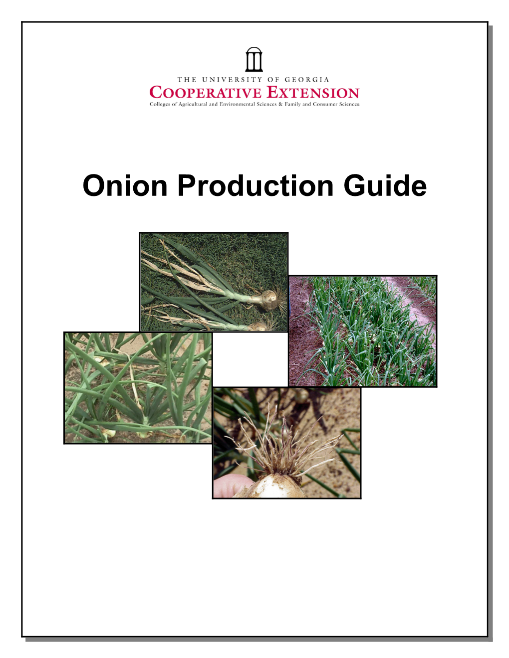 Onion Production Guide Sections and Authors