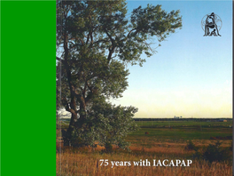 History of IACAPAP