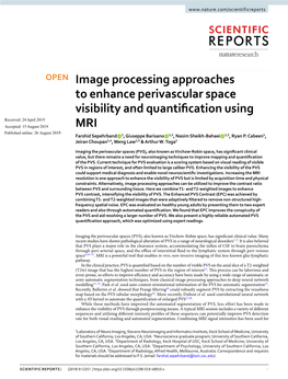 Image Processing Approaches to Enhance Perivascular Space