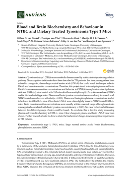 Blood and Brain Biochemistry and Behaviour in NTBC and Dietary Treated Tyrosinemia Type 1 Mice